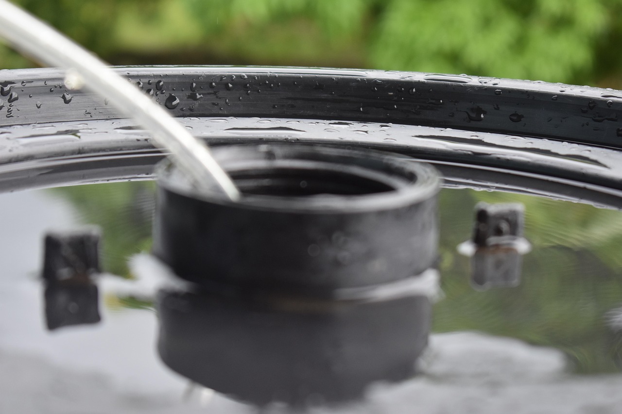 马鞍最新招聘动态与人才发展趋势分析,招聘信息与行业人才展望