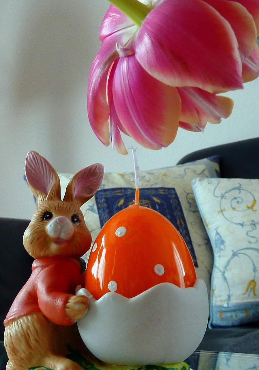 极兔速递最新动态，创新引领，市场版图持续拓展