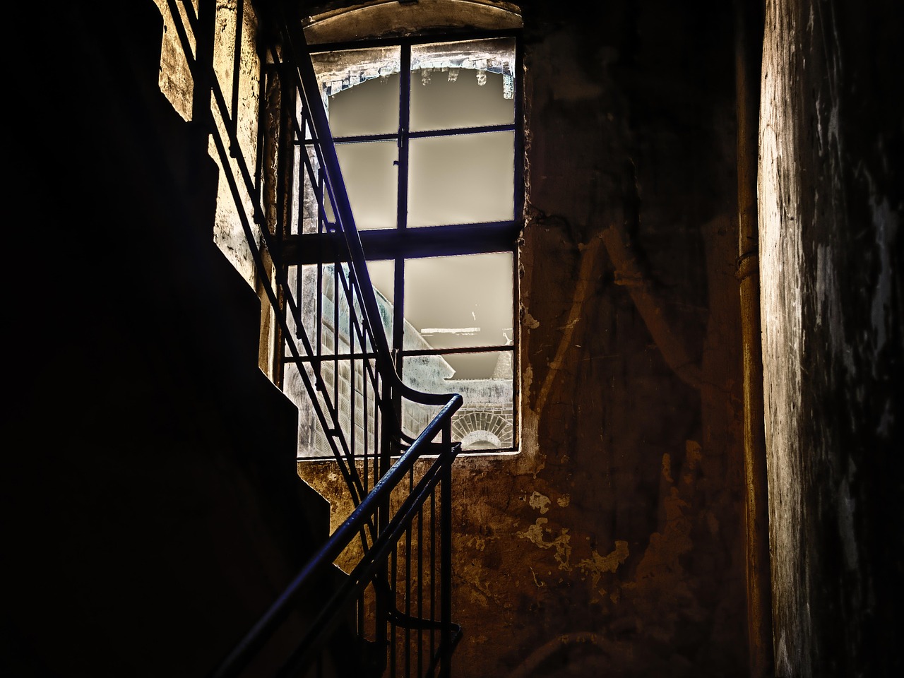 揭秘陆行鲨，探索神秘陆地巨兽的崛起与变迁历程