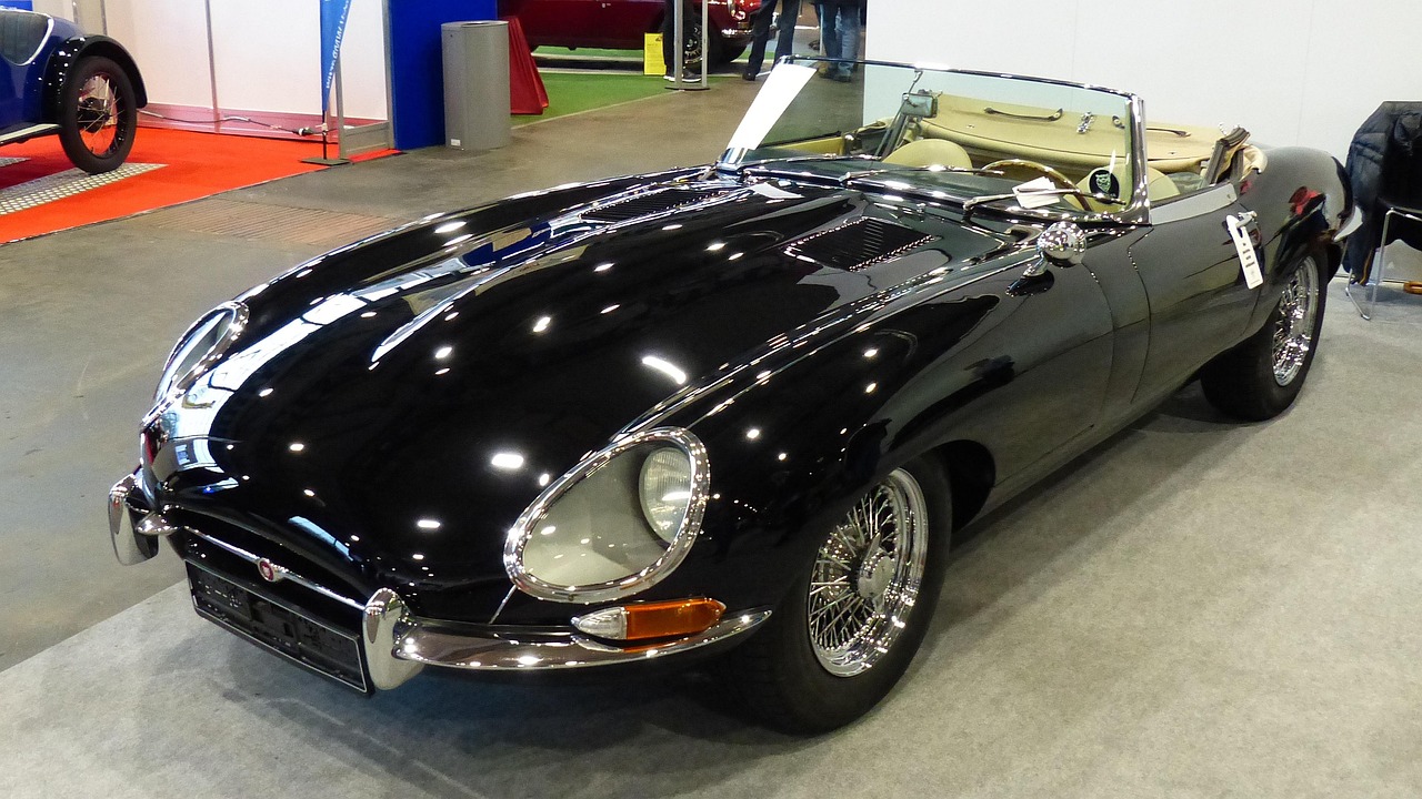 美国大选最新动态，选民意志的较量与未来走向揭秘