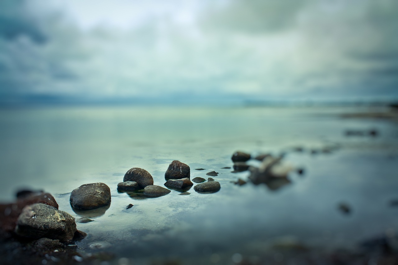 唐山型钢最新价格及动态分析概览