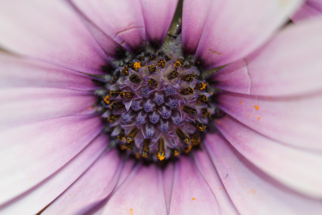 唐山型钢最新价格及动态分析概览