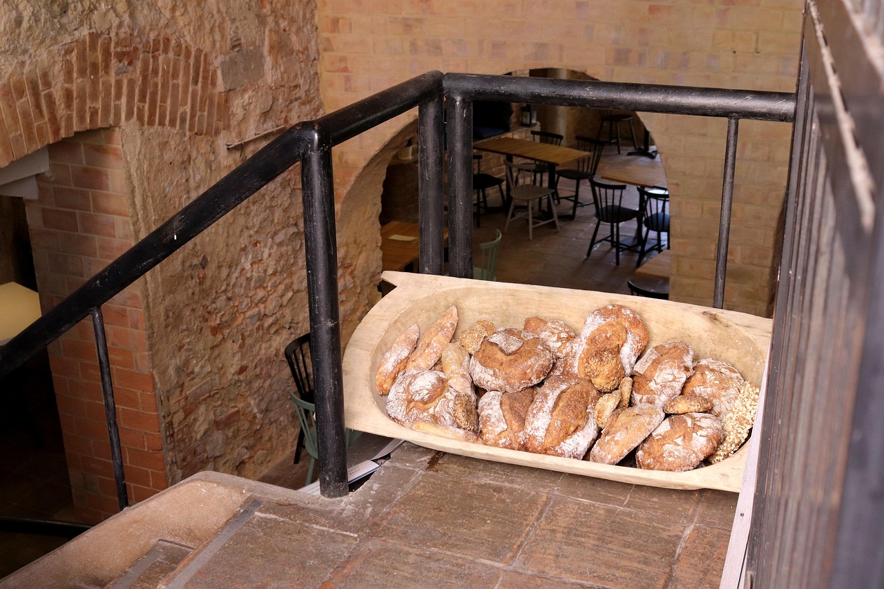 凯特吃播最新动态,美食之旅再启新篇章