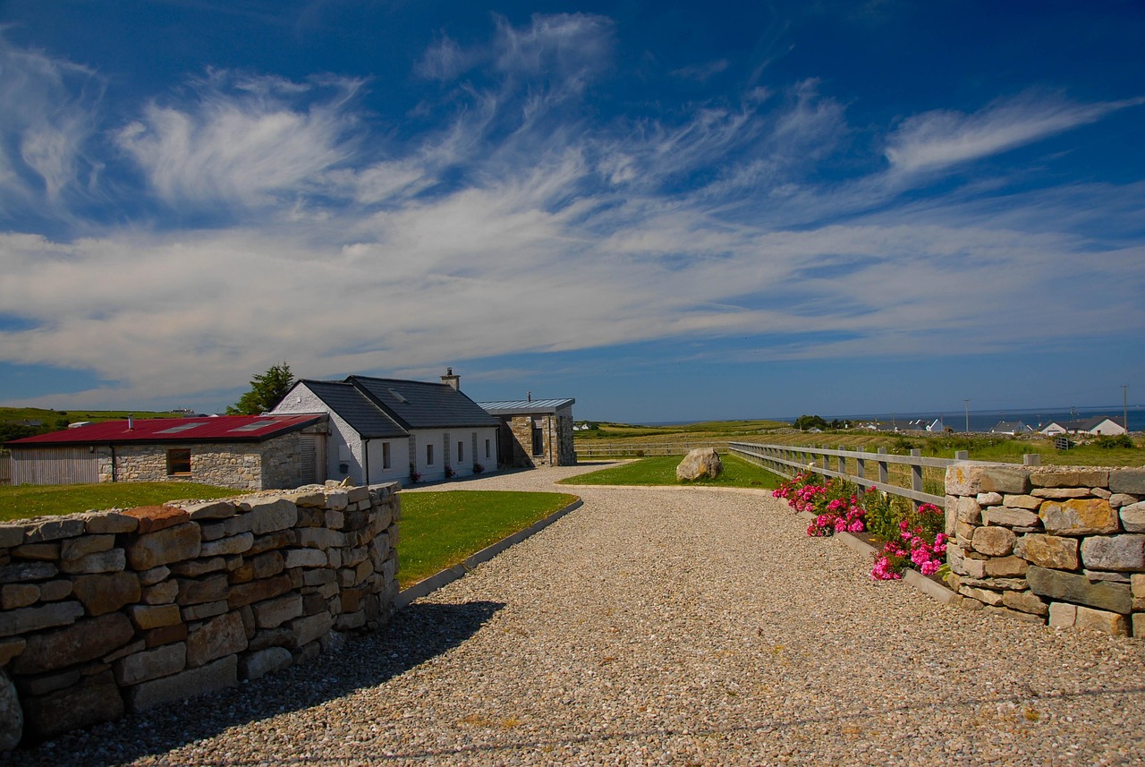 彩5彩票最新动态揭秘，未来趋势与机遇的探索