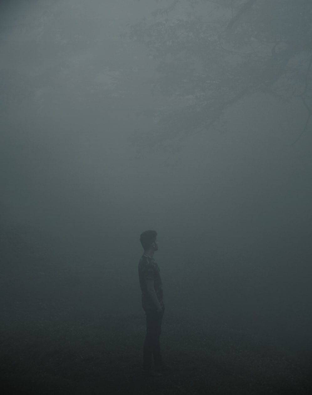 最新A片库,影视世界的魅力探索