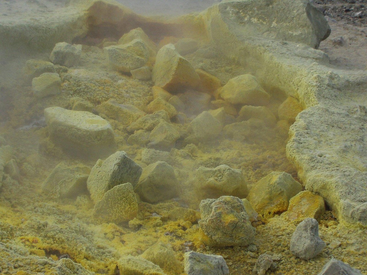 晋江毒王最新动态深度解析与最新消息