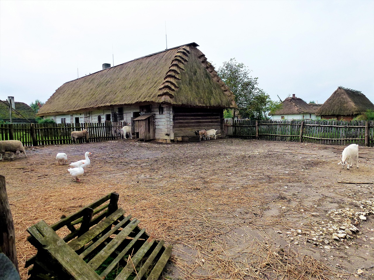 革新建筑方式，最新用土建房推动可持续发展