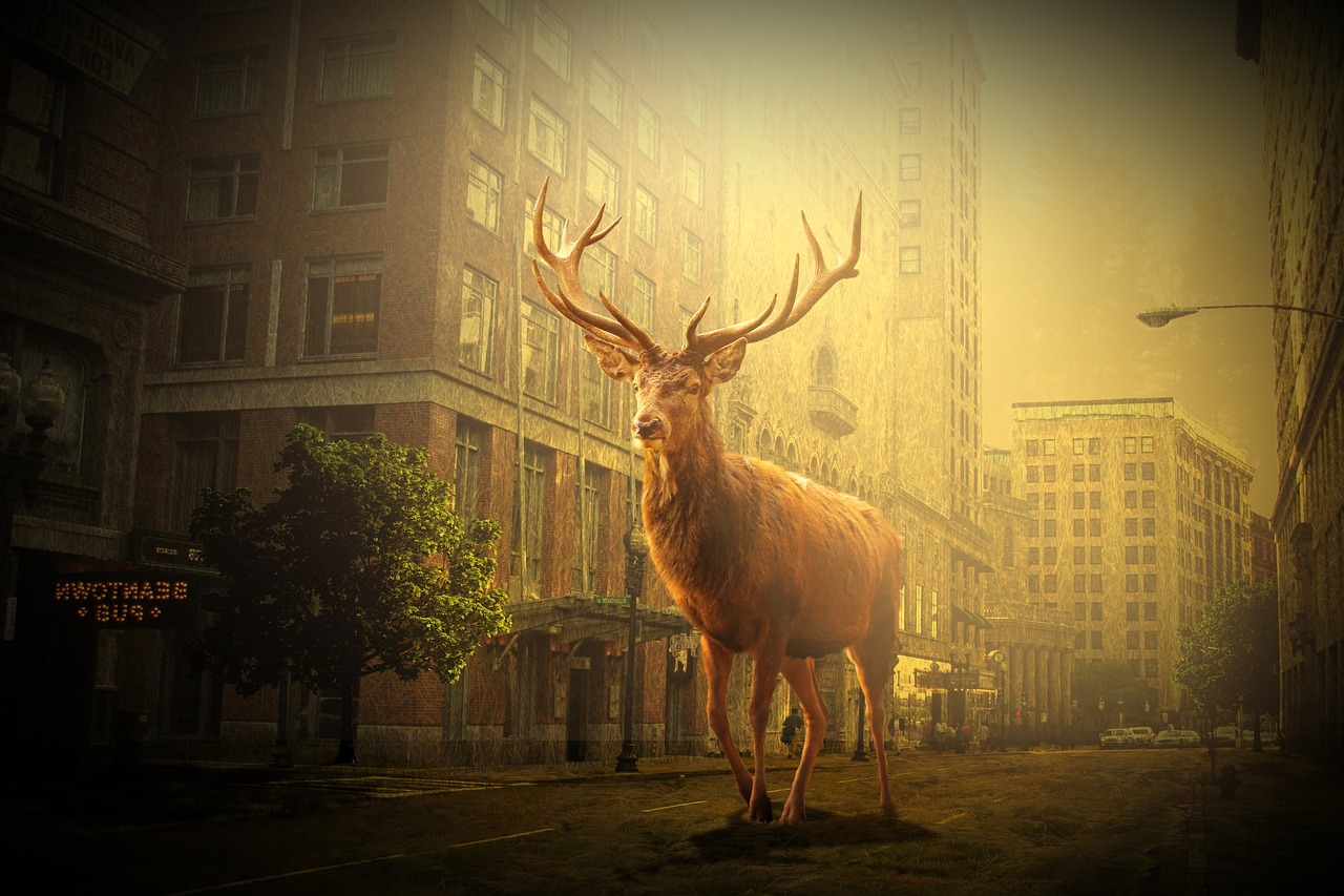 城市天际线变革,最新楼宇动态与发展趋势