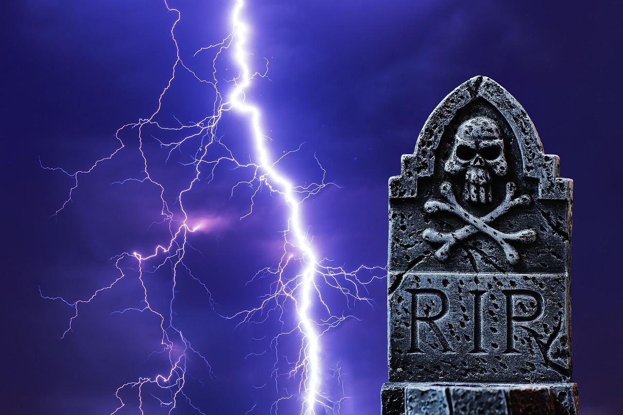 闪面下载最新,速度与效率的完美融合