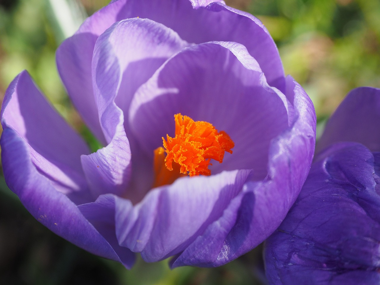 社会变革与技术发展的最新动态与影响分析