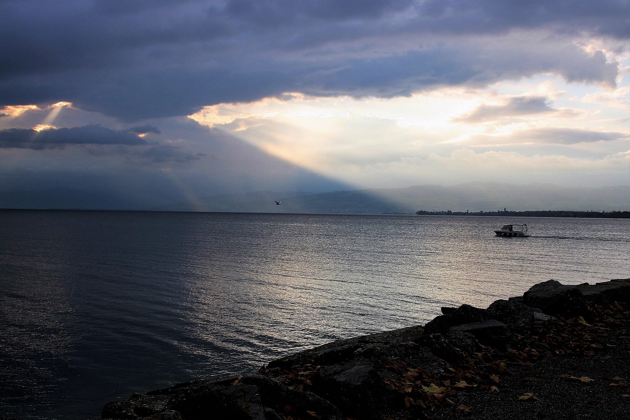 探索心灵安宁之道的最新晚安语录