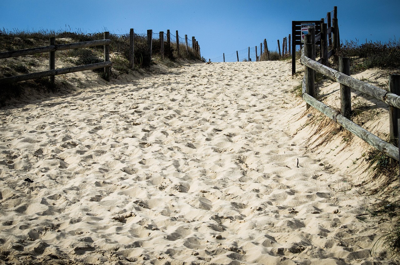 邯郸最新出院动态,康复之路与未来展望