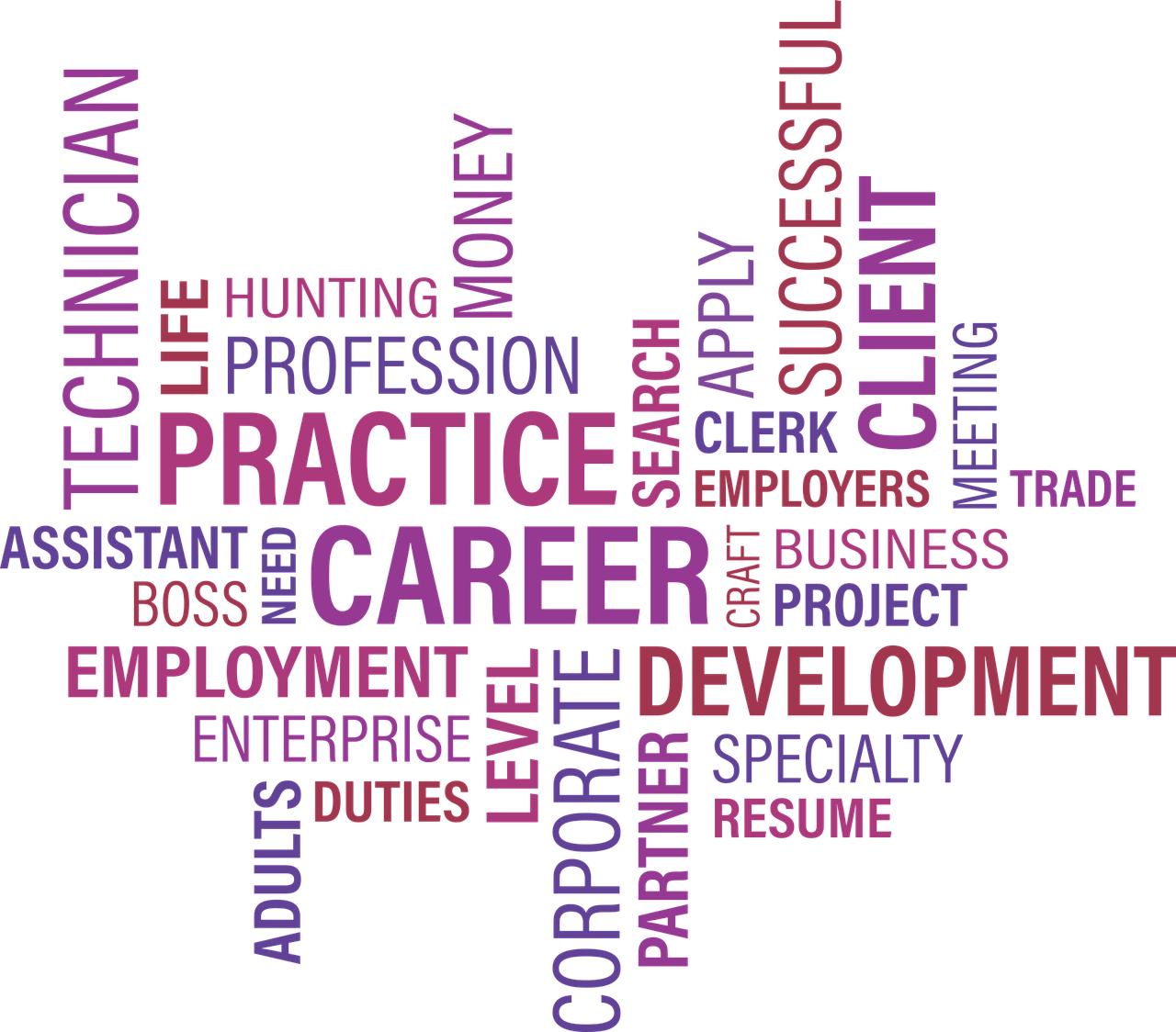 钱库最新招工信息及其影响，探讨未来发展前景与机遇