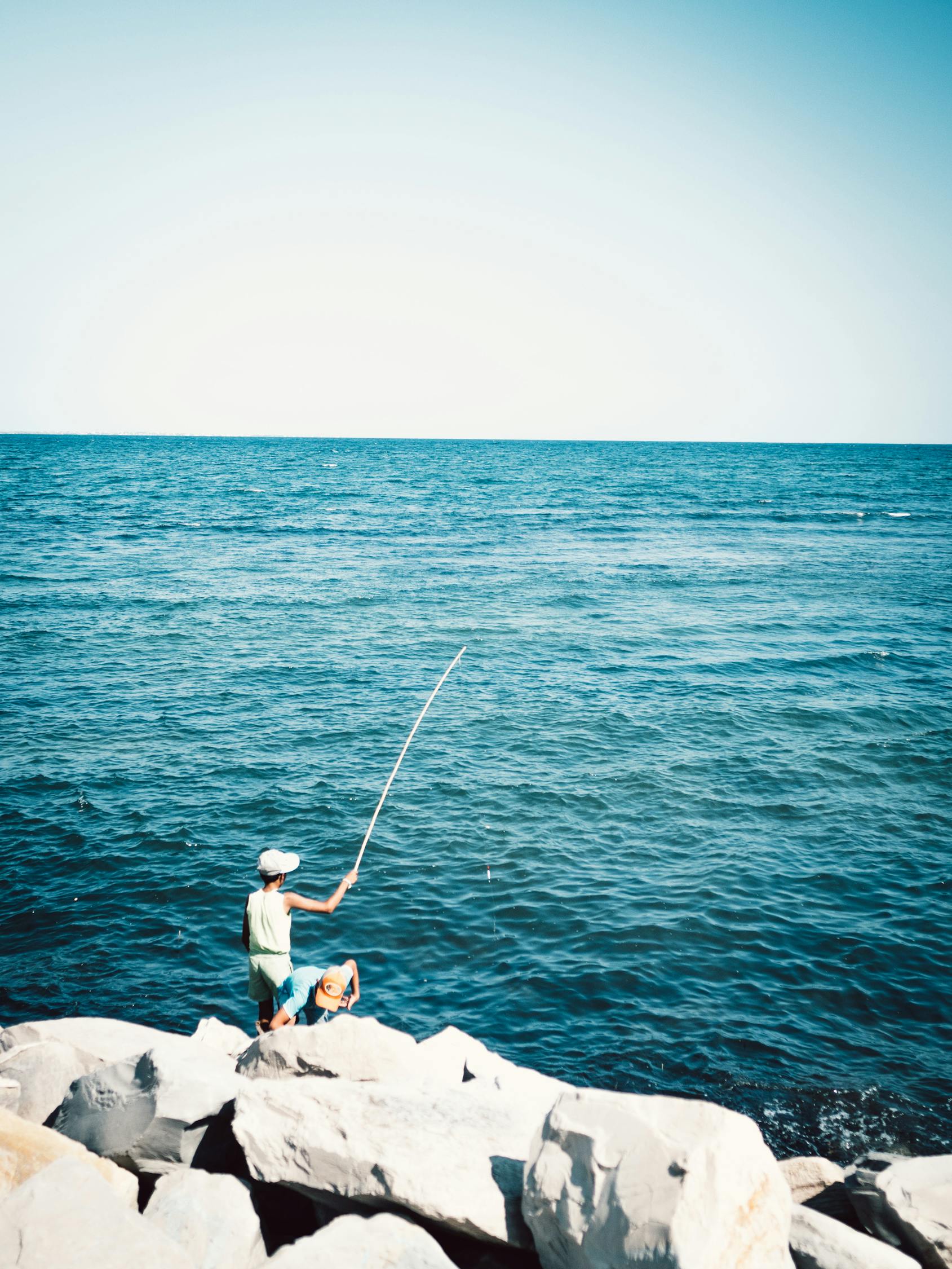 广安最新鱼情揭秘，繁荣水下世界的探索之旅