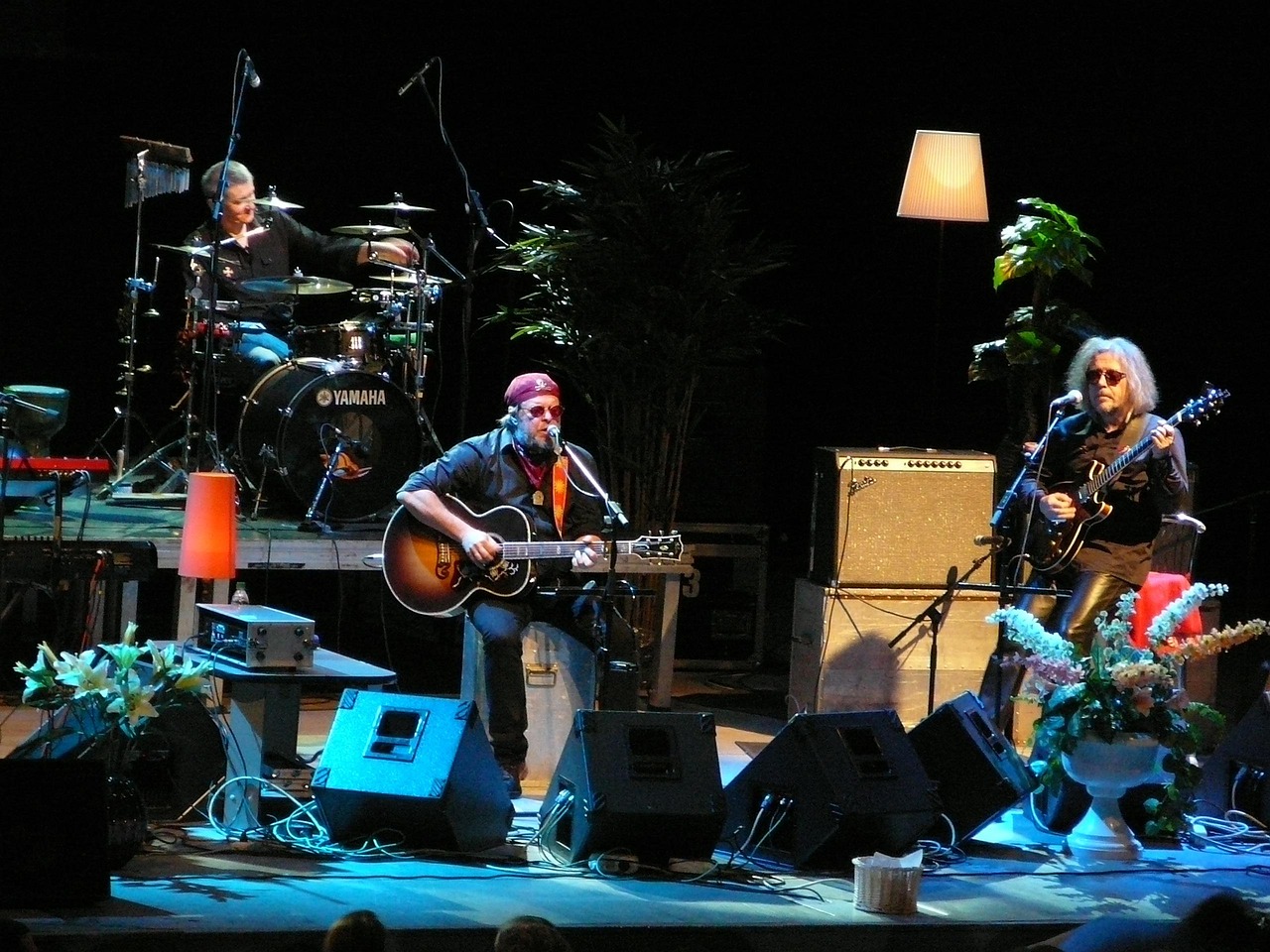 网拍视频新舞台，展现时代潮流与创意魅力的最新展示