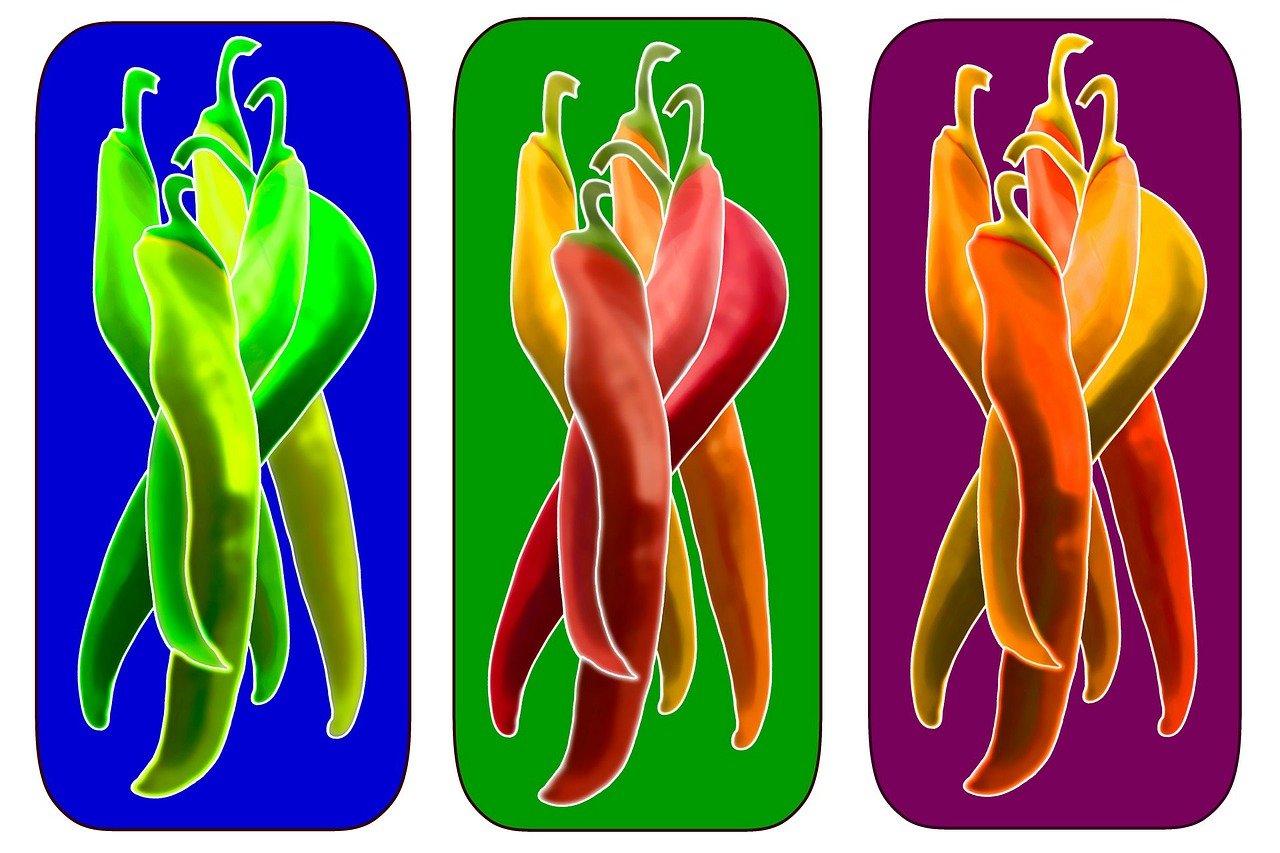 黄美剧最新动态，热门剧集新篇章探索