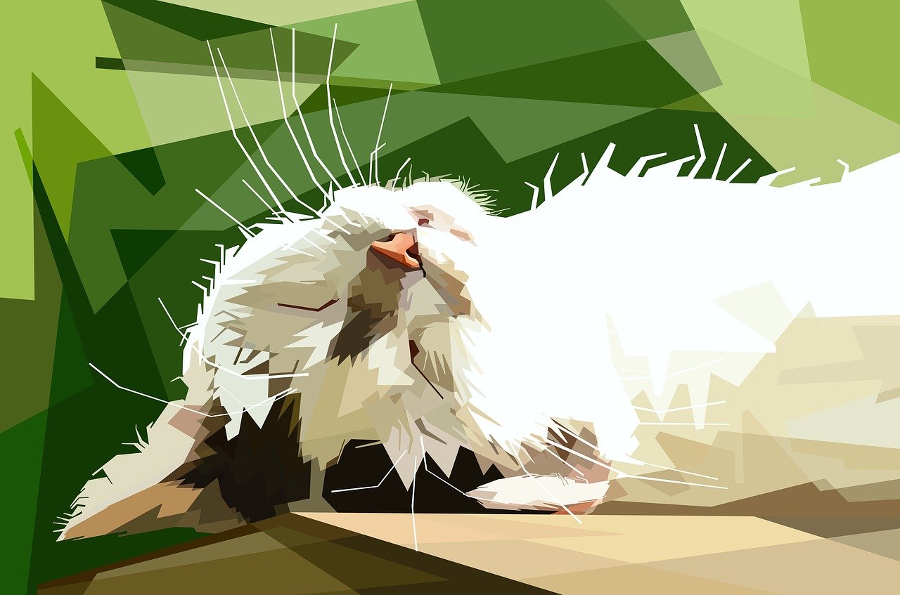 美妆资讯速递,引领时尚潮流最新动态