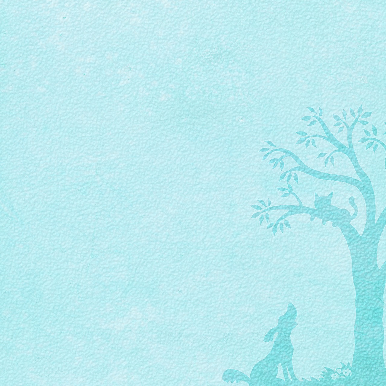 萌喵社最新动态揭秘,新时代猫咪文化的蓬勃发展