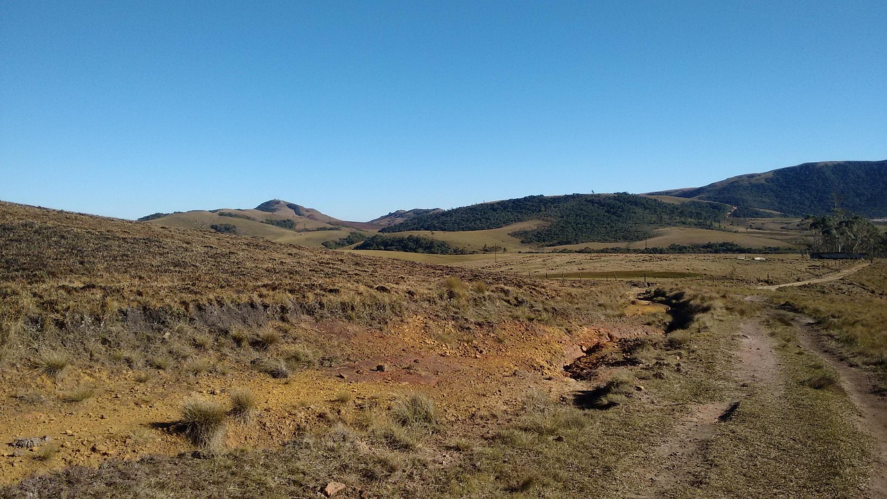 广东最新台风动态更新，实时关注台风路径及影响
