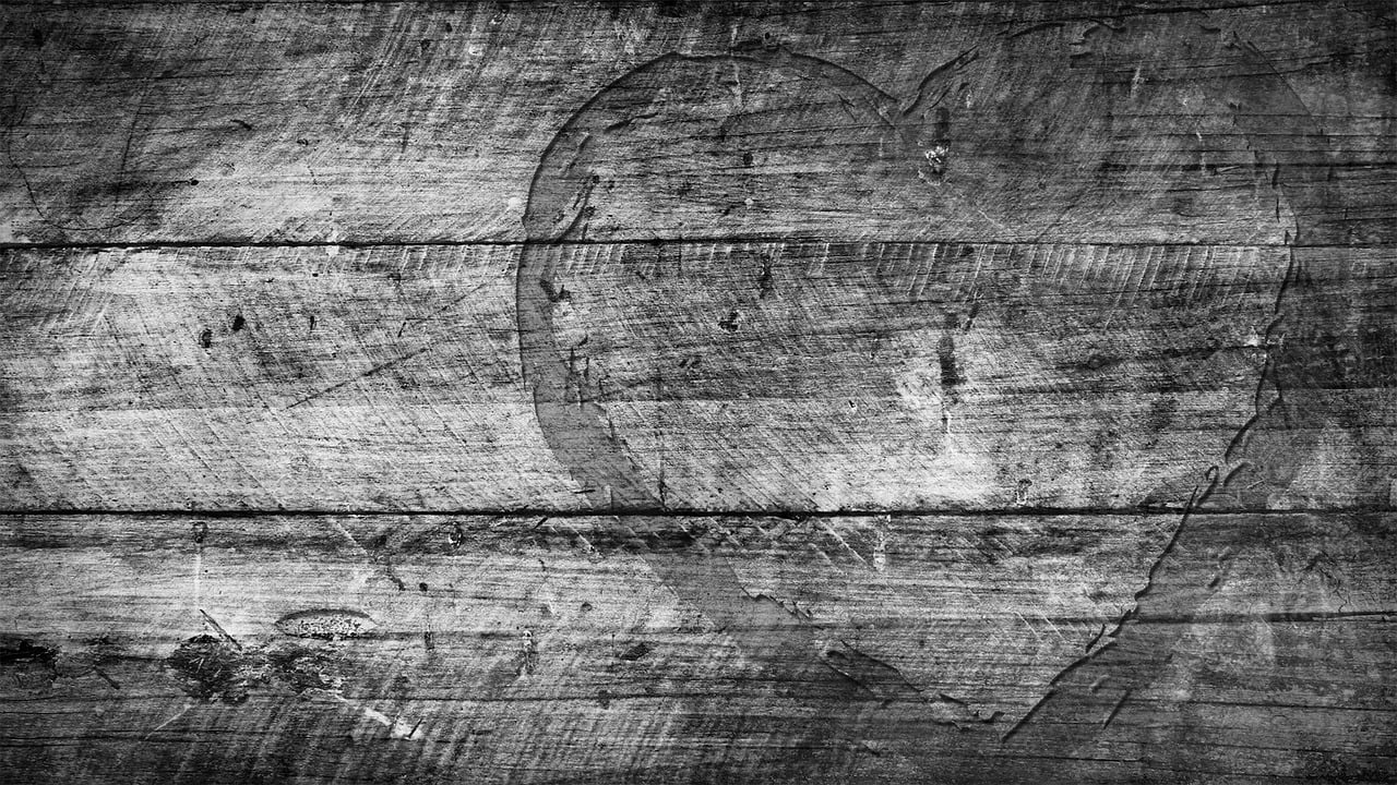 最新纸皮行情深度解析