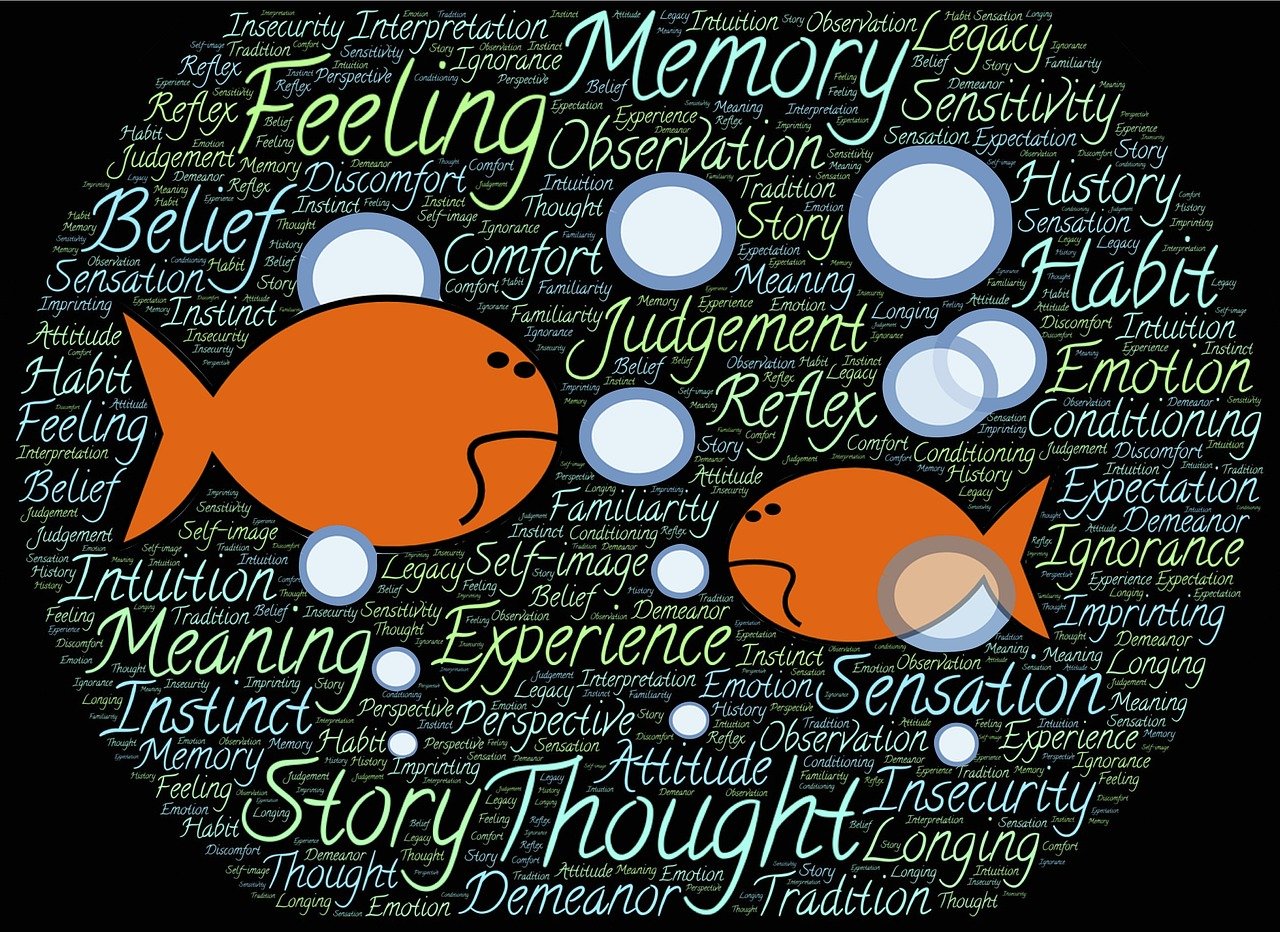 探索与启示,你乖点最新的故事与成长