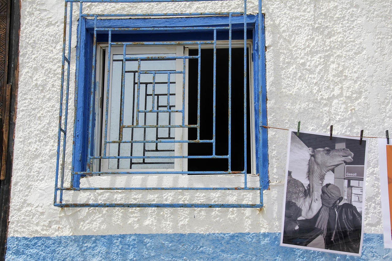 霉霉最新照片展现音乐与时尚完美融合的动态风采