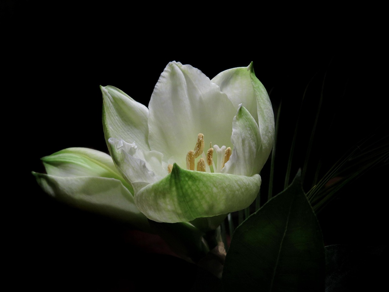 林予曦最新动态,闪耀之星持续绽放