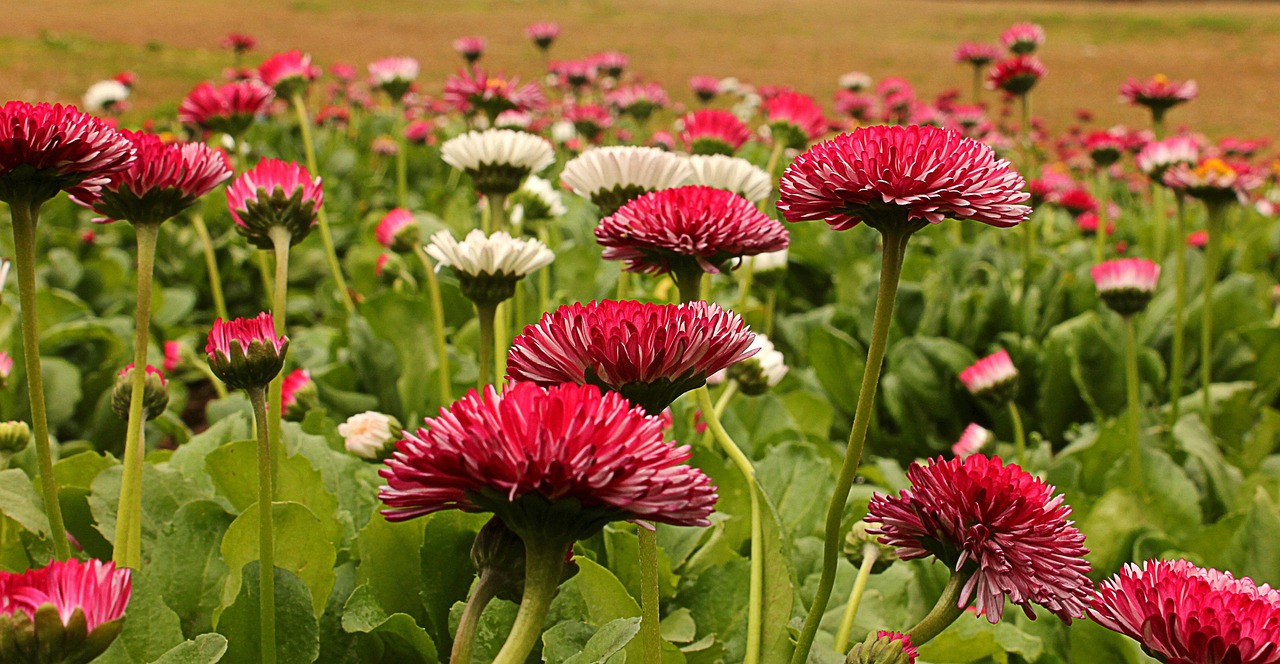 探索时尚美妆新纪元，打粉吧最新动态分享