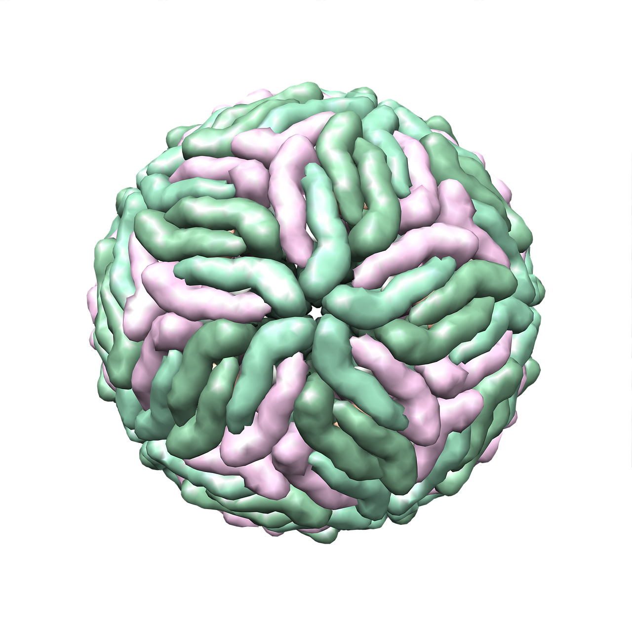 揭示病毒奥秘的新篇章,最新病毒解剖学深度解析病毒结构特征