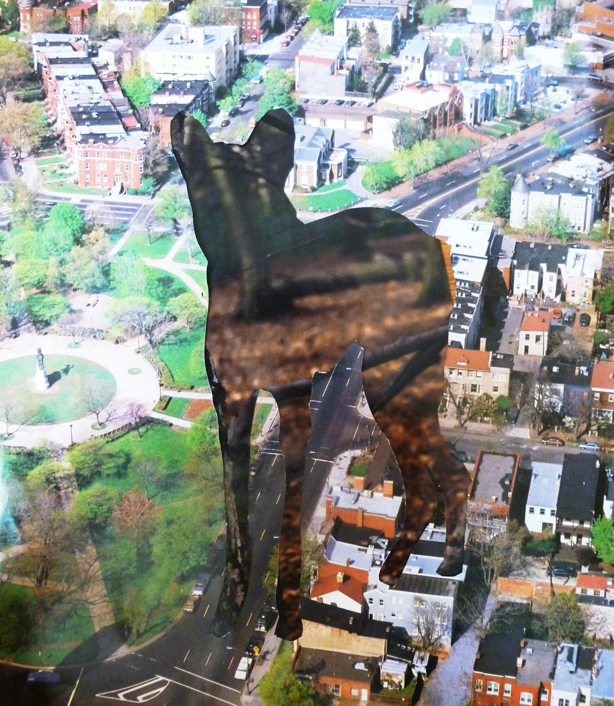 央视网重塑媒体格局，引领时代潮流的最新动态