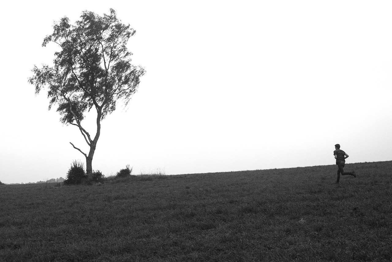 蚂蚁庄园每日最新动态,探索与发现的乐园