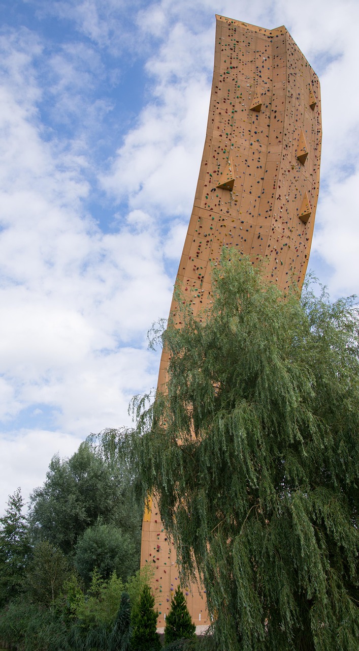 大漠扬沙 第8页