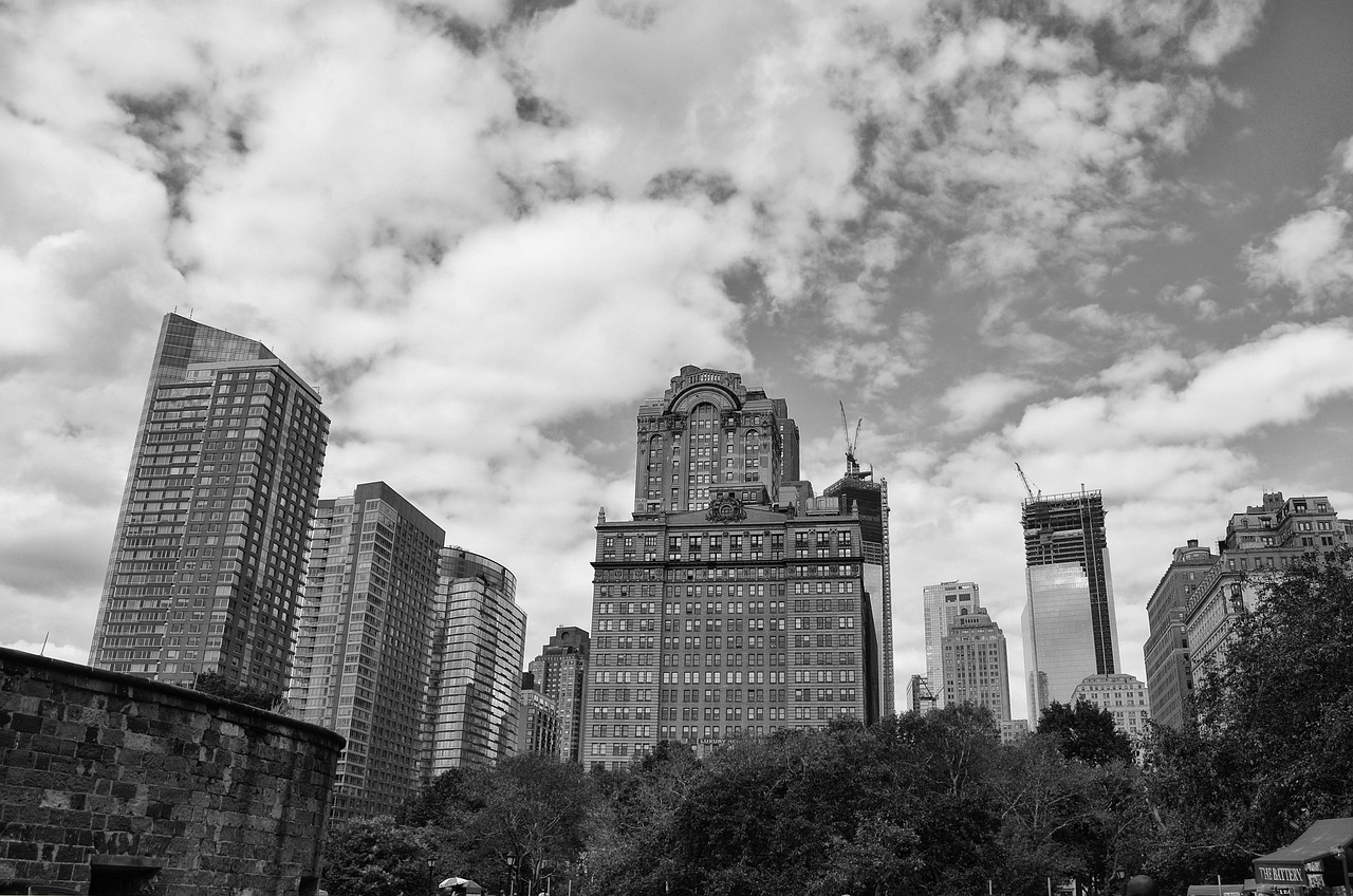 王万征的足迹与成就,最新探索之旅