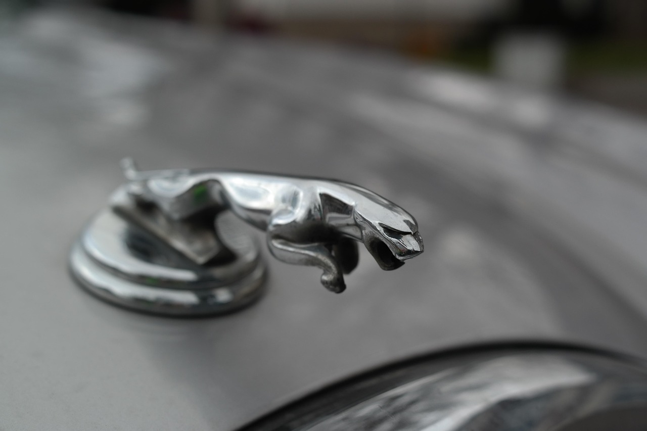 最新最全车标，引领汽车文化潮流的新风尚标杆