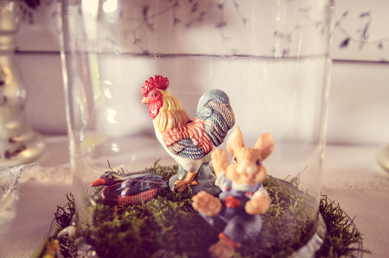 特污兔最新，探索未知世界的魅力与责任之旅