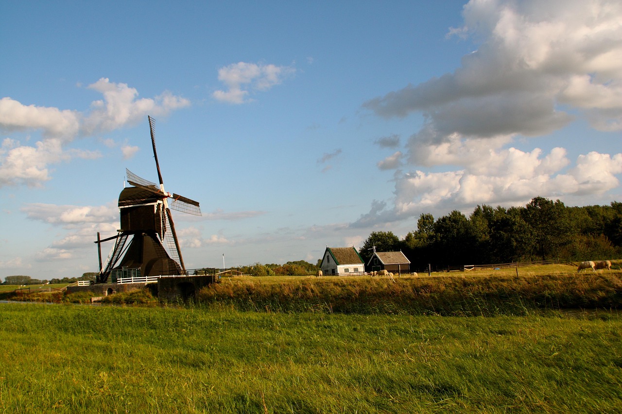 总统最新动态，引领未来，重塑国家辉煌