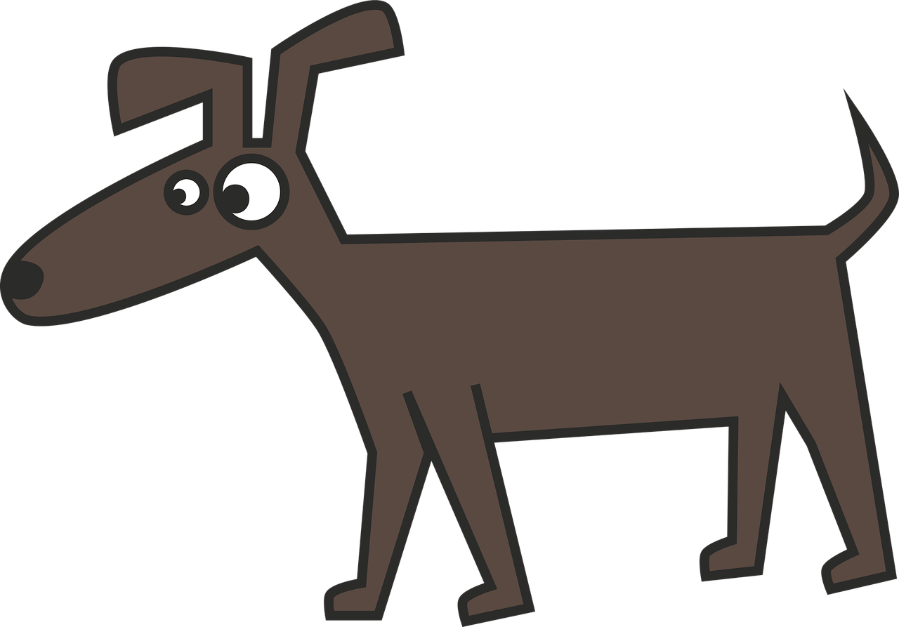 文豪野犬汪漫画最新动态，热血与文学交织的冒险之旅持续更新