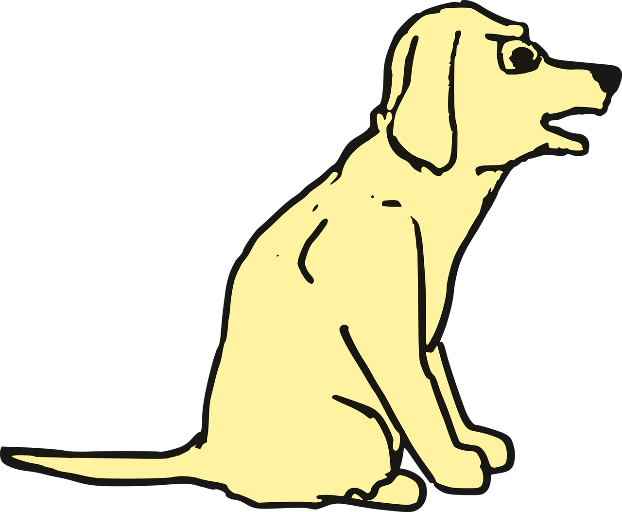 文豪野犬汪漫画最新动态,热血与文学交织的冒险之旅持续更新