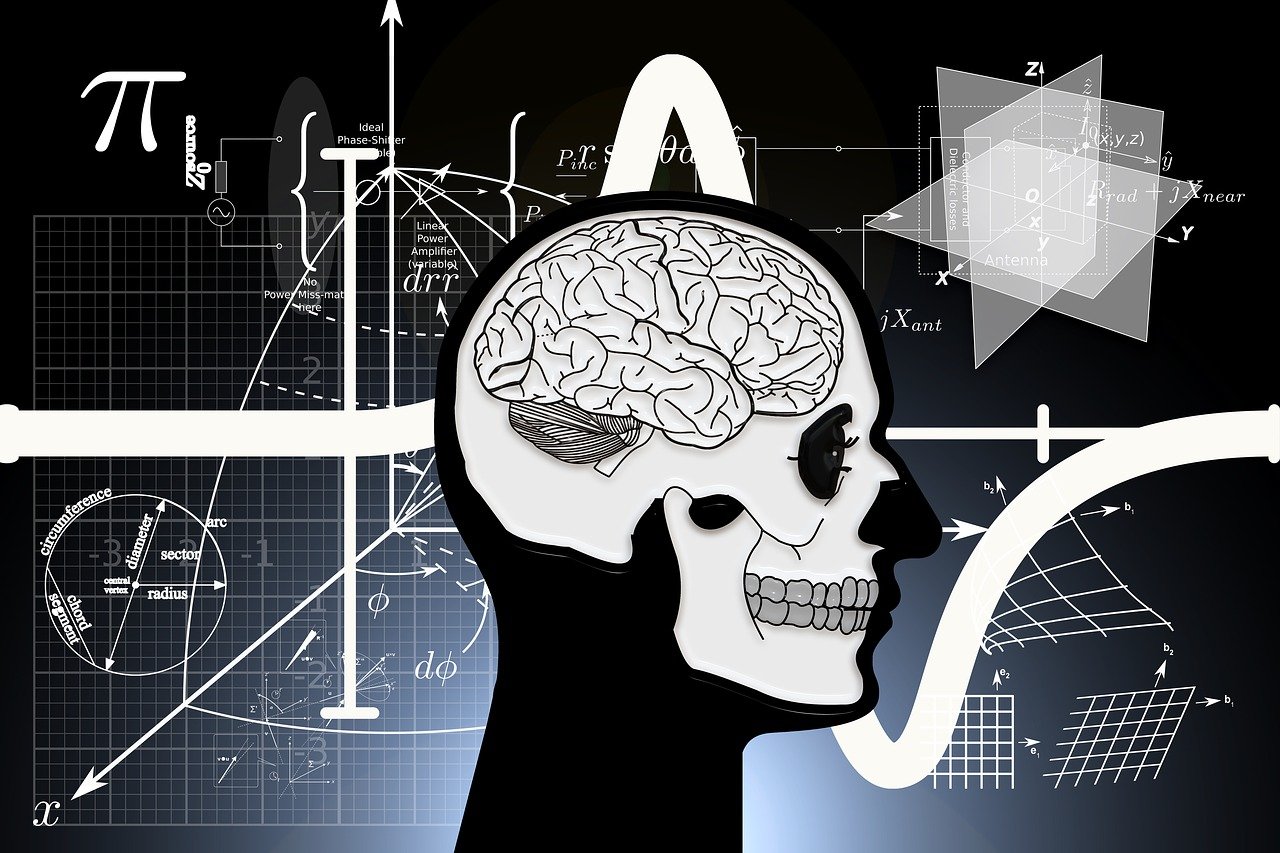 全国最新疫情死亡数字及其背后的感人故事