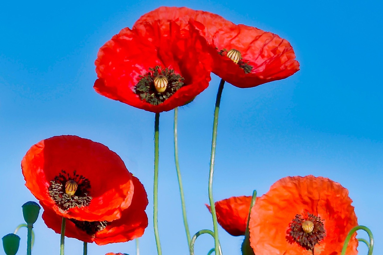 徐昕最新微博动态,传递正能量,聚焦热点时刻