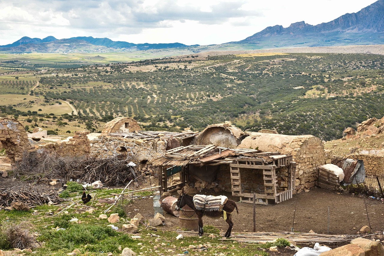 玉龙雪山日照金山最新探秘之旅