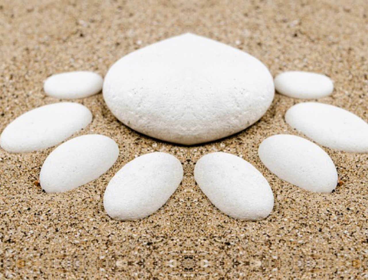 最新动态探索,00271俺去啦