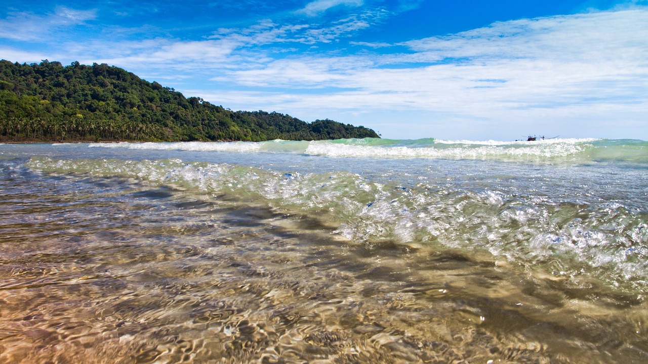 护考成绩查询最新动态,便捷、准确、实时的信息获取途径