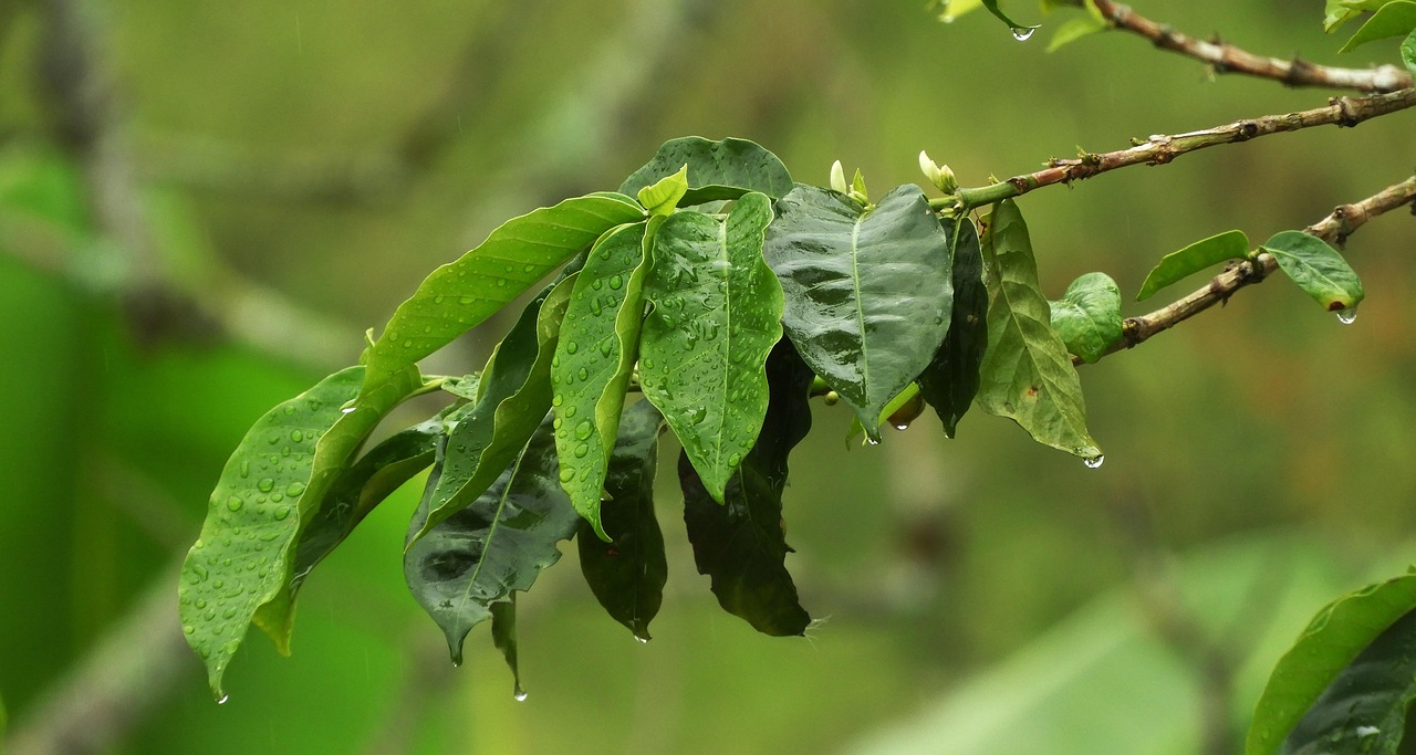 佐治亚州最新状况概览,最新动态与发展概述