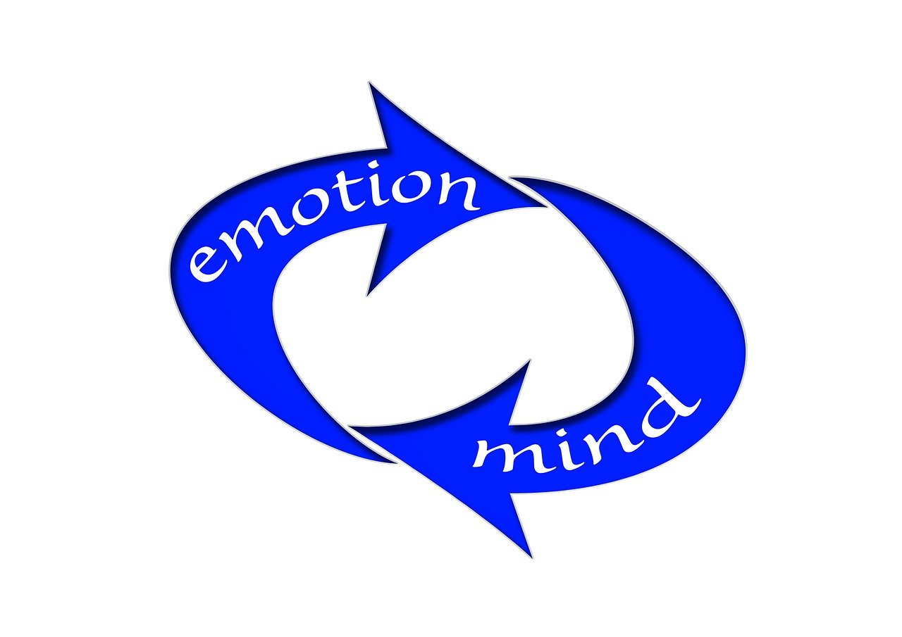 网络时代的文化新风尚，最新网名与古文的交融创新