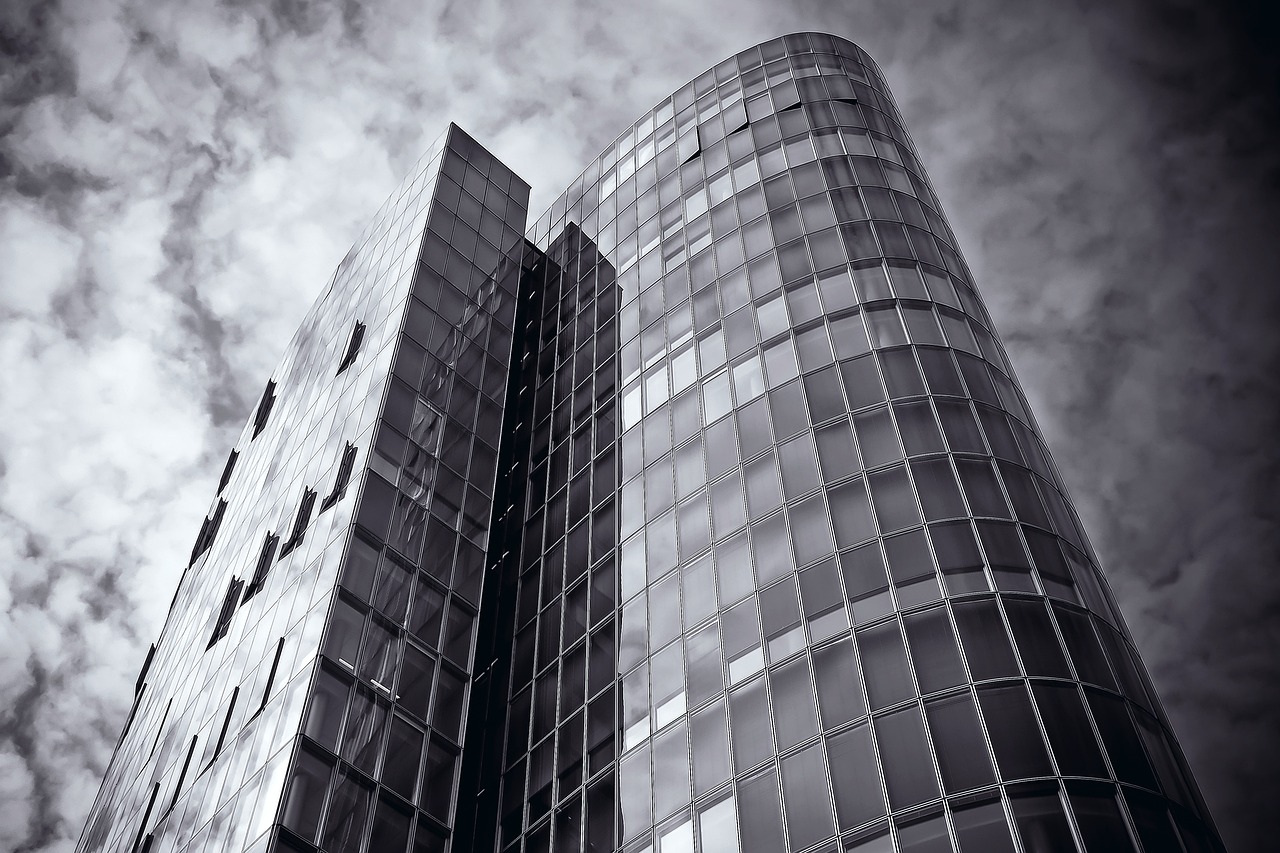 央行逆回购最新利率揭秘,影响及解读