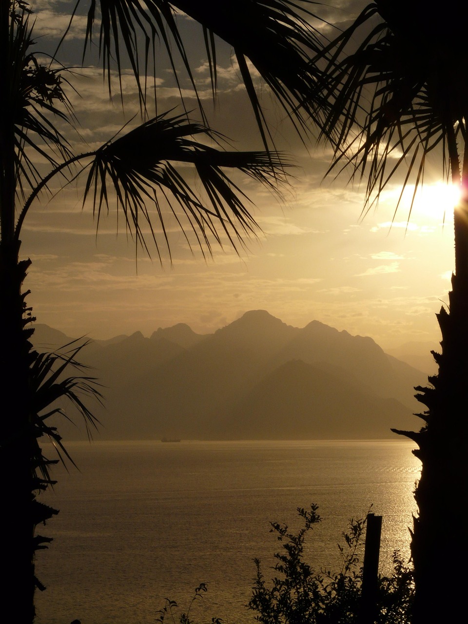 2025年7月 第261页