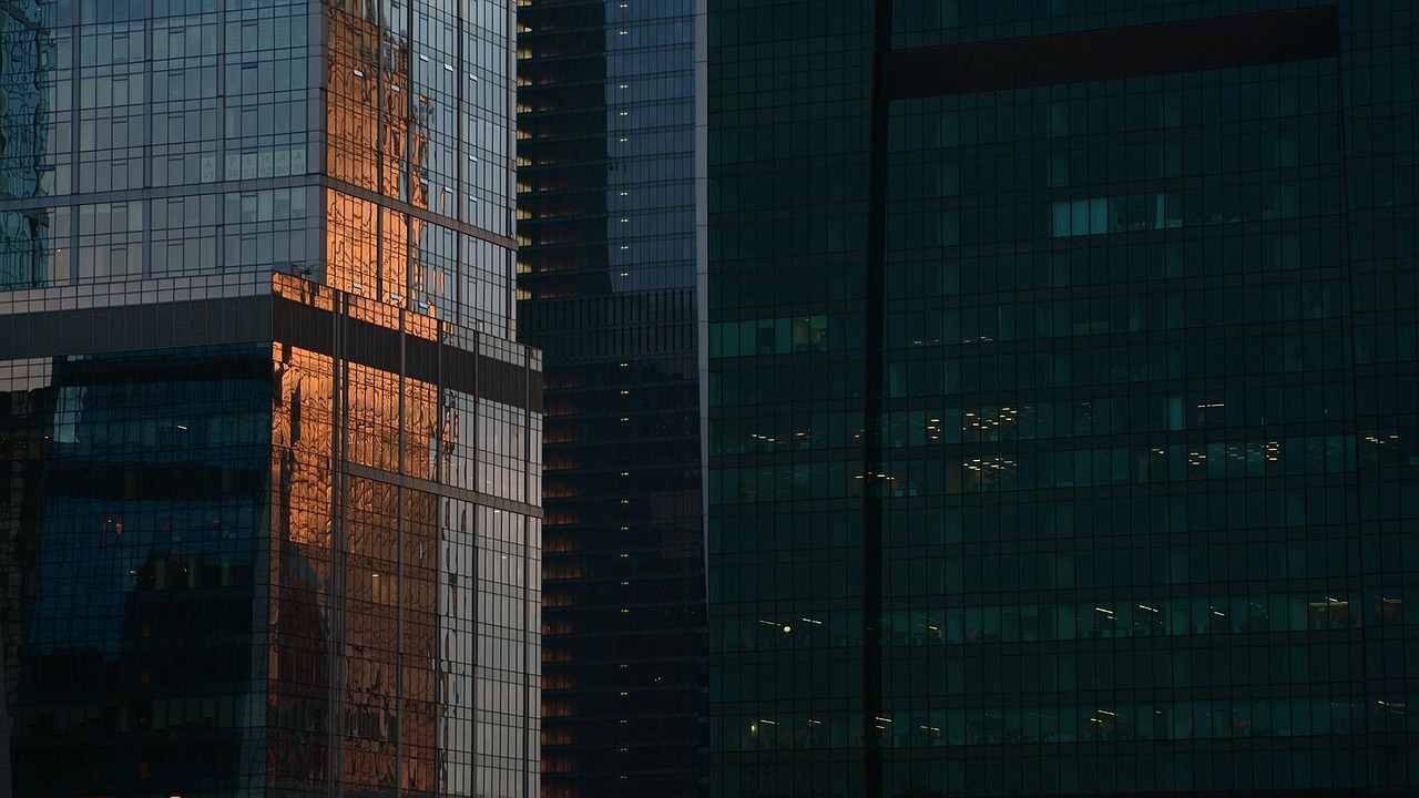 最新废纸价格网，掌握纸价动态，引领行业风向标