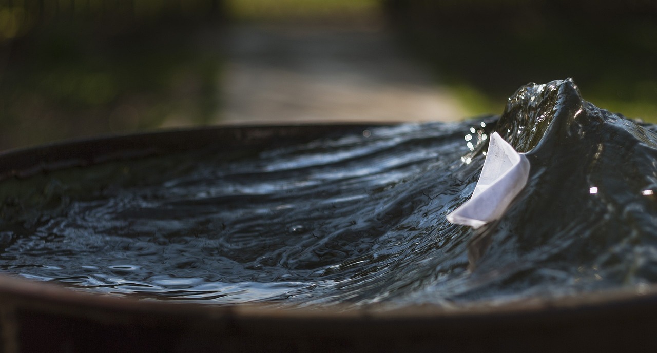 西马最新发展动态及前景展望