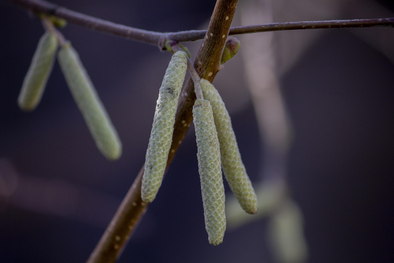 肾综最新贴吧动态,关注肾脏健康,共享治疗经验交流